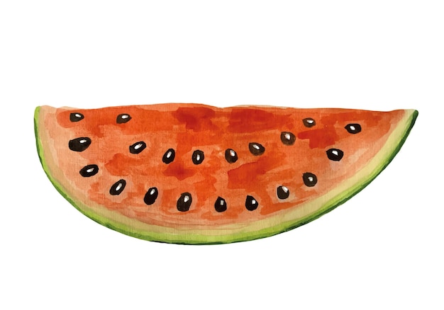 Ripe watercolor watermelons Vector illustration