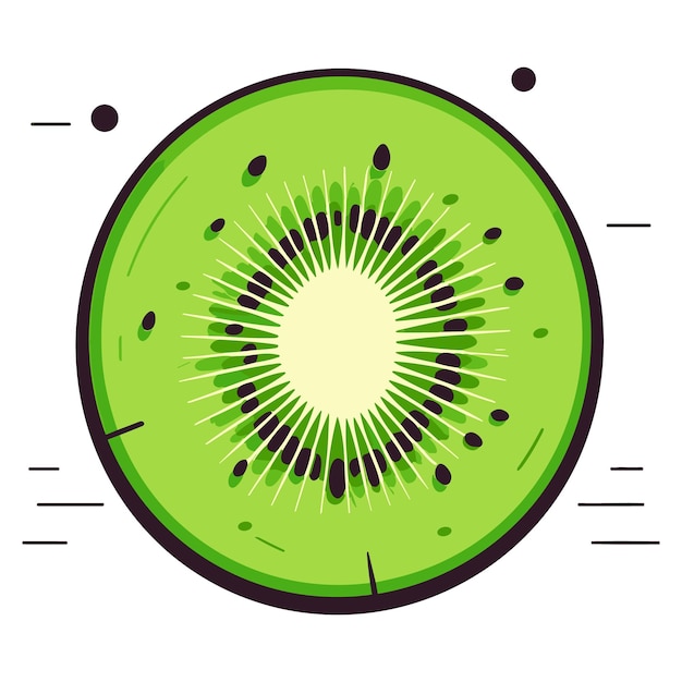 Ripe whole kiwi fruit and half kiwi fruit vector illustration