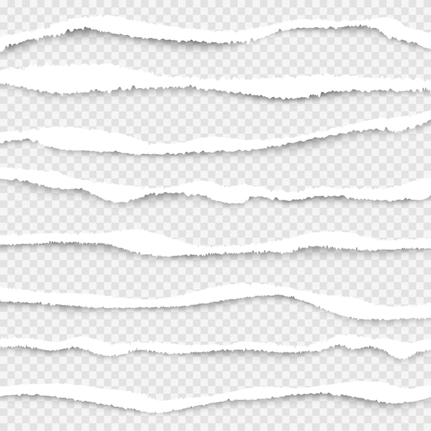 Ripped paper. Cut edges of white paper  ripped lines realistic texture collection