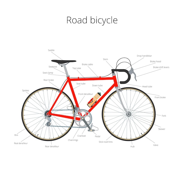 Road bicycle infographic elements and parts.