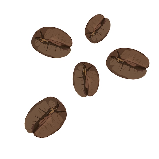 Roasted coffee beans isolated on white background Vector illustration