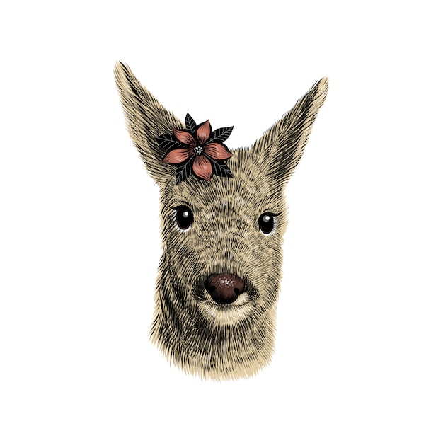 Roe deer cub sketch,  illustration. Hand drawn wild animal head portrait with flower