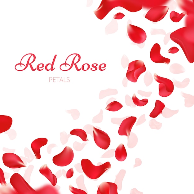 Romantic wedding background with falling red rose petals