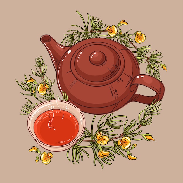 Rooibos tea illustration