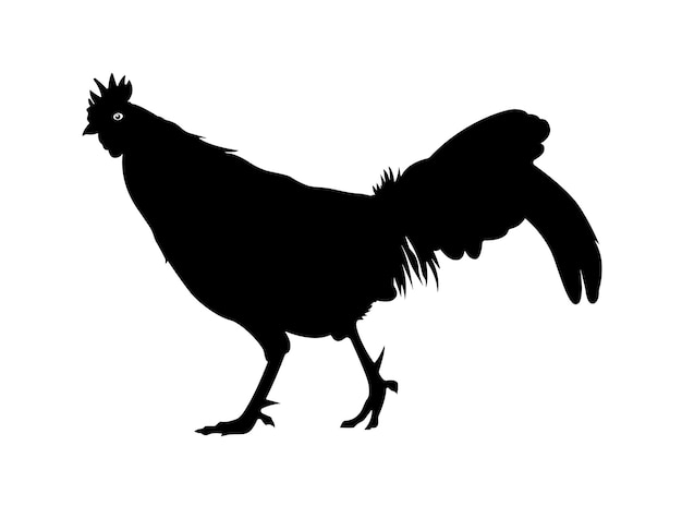 Rooster Bird Silhouette Cock animal Illustration