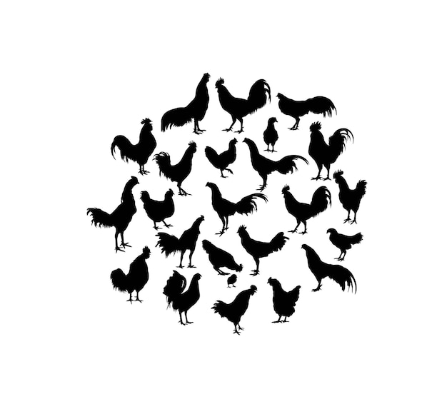 Vector rooster and chicken activity bird family silhouettes art vector design