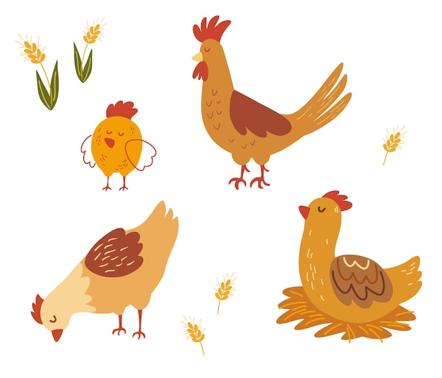 Rooster, hen and chicks. Various cute chickens flat icon set. Funny domestic birds, farm and poultry concept. Cartoon hens and roosters. Vector cartoon illustration collection.