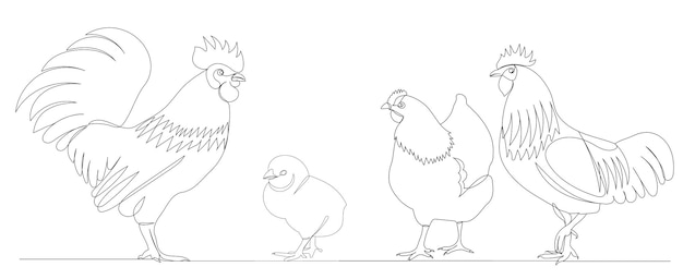 Rooster and hen drawing by one continuous line vector