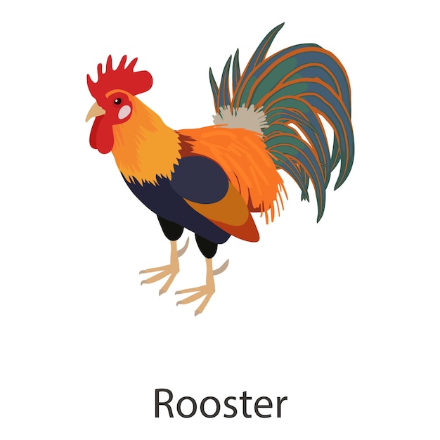 Vector rooster icon isometric illustration of rooster vector icon for web