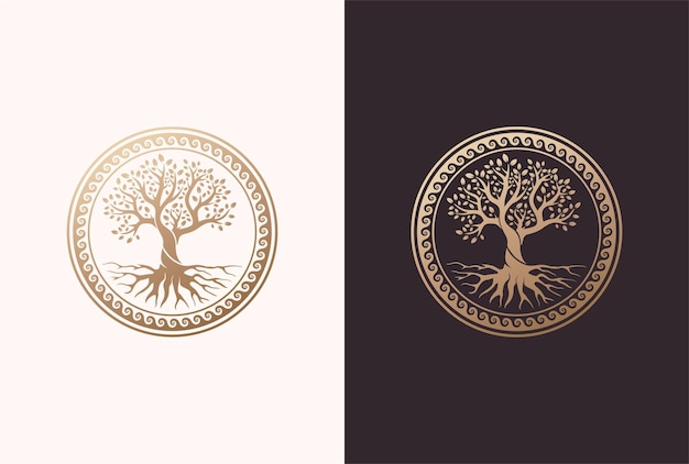 Root or tree, tree of life vector symbol with a circle shape.