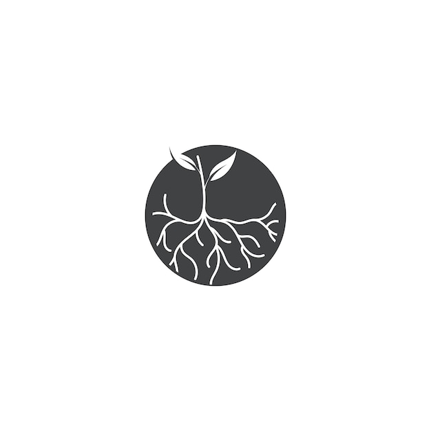 Root vector illustration template design