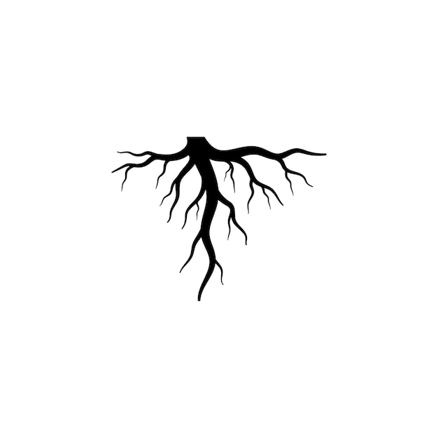 Root vector illustration template