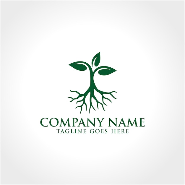 Roots logo design inspiration - vector