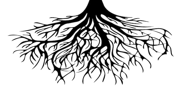 Vector the roots of the tree icon silhouette style vector icon