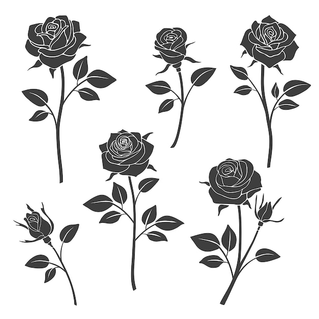 Rose buds silhouettes. 