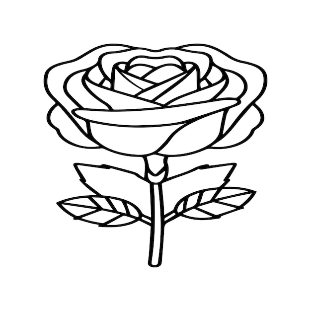 Rose coloring pages Rose flower outline vector