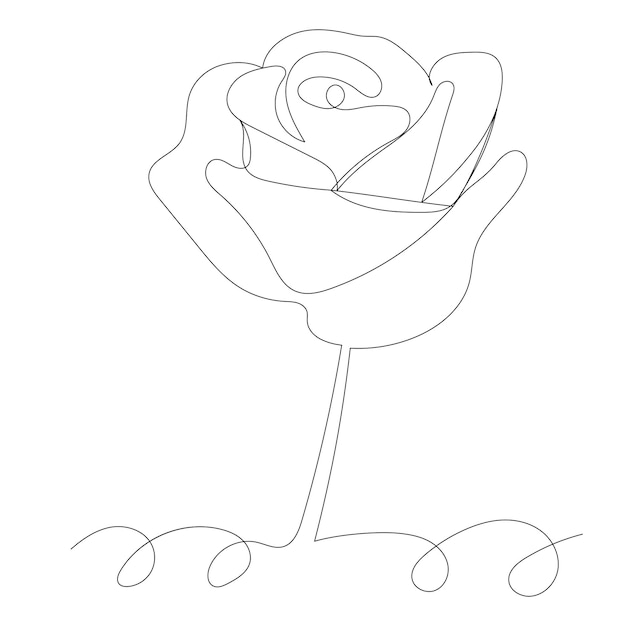 Rose drawing in one line, vector, isolated