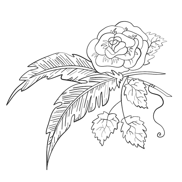 Rose and feathers Fashionable print Vector illustration