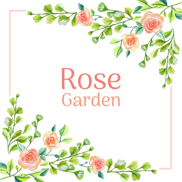 Rose floral background