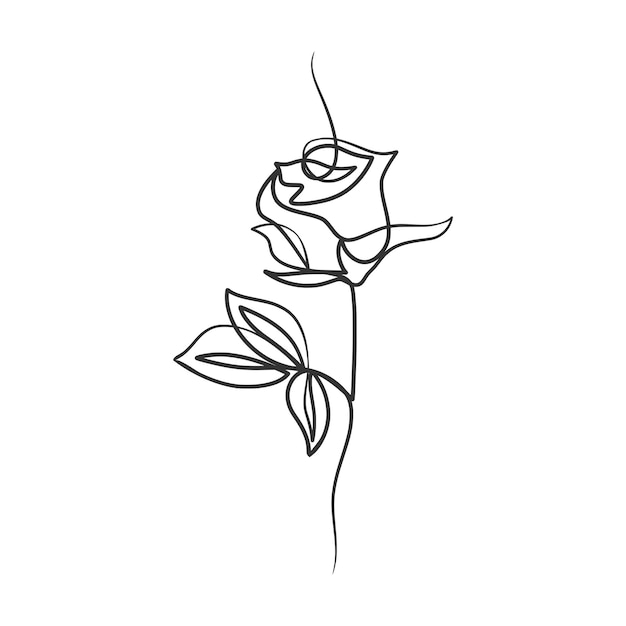 Rose flower in continuous line art drawing style