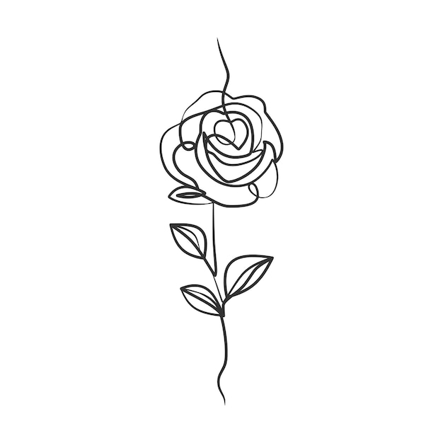 Rose flower in continuous line art drawing style