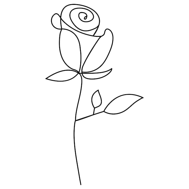 Rose flower continuous one line drawing outline vector illustration