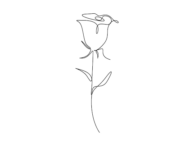 Rose flower continuous one line drawing vector illustration premium vector