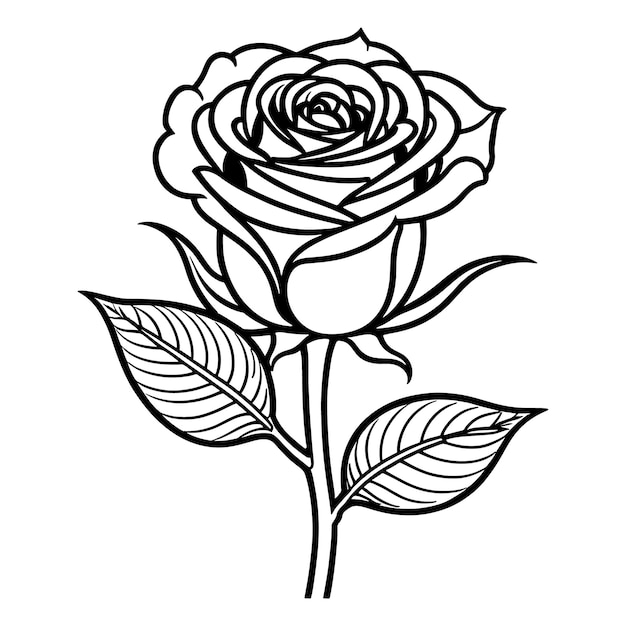 Rose flower digital coloring page for childrens and adults