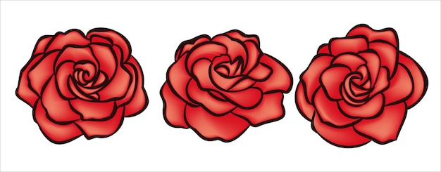 Rose flower hand drawn ilustration for logo