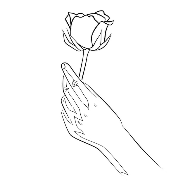 rose flower in hand