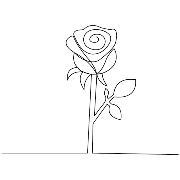 Rose flower single line art continuous one line drawing of Isolated