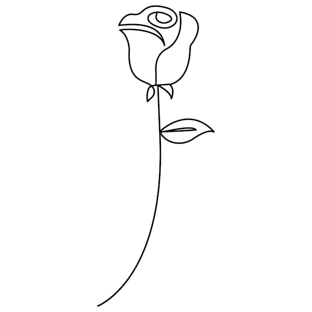 Rose flower single line art continuous one line drawing of Isolated