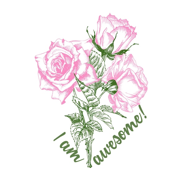 Vector rose flower sketch in engraving style on white background pink and green color tshirt print love background typography design lettering text i am awersome