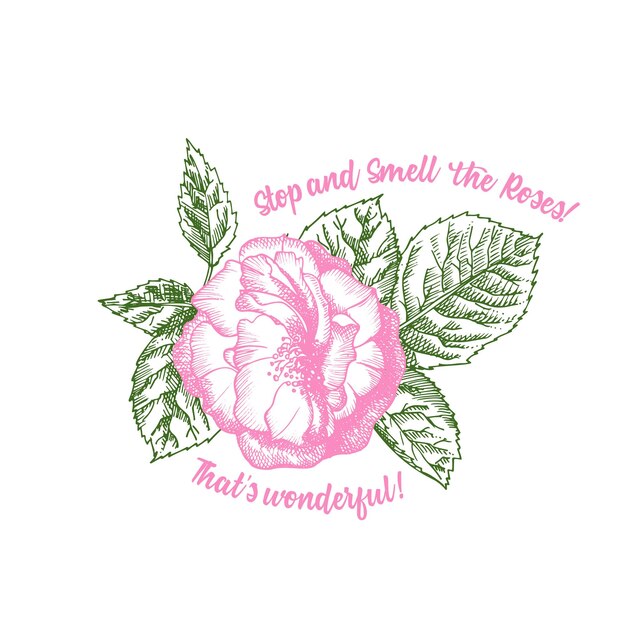 Vector rose flower sketch in engraving style on white background pink and green color tshirt print love background typography design lettering text that's wonderful