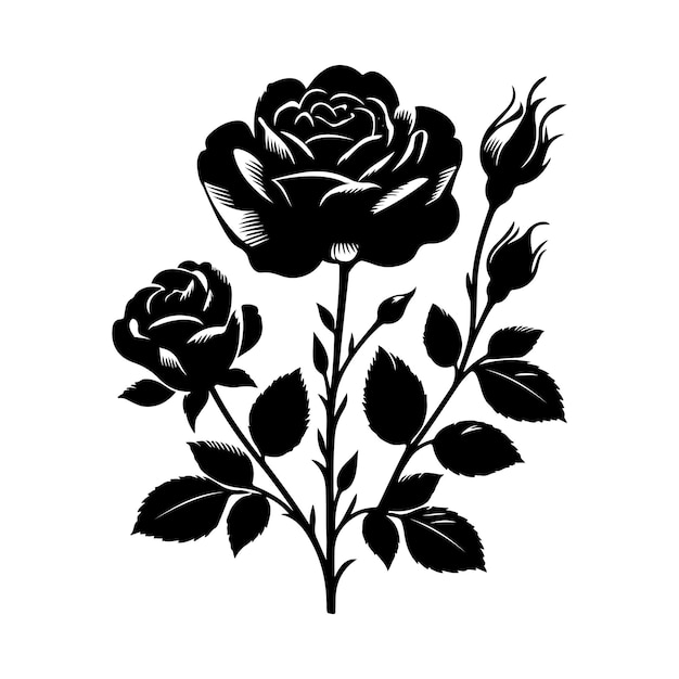 Rose Flower Sketch Engraving Vector Illustration