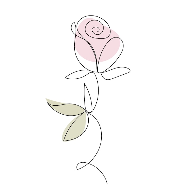 Rose flower vector line art minimal pink pastel illustration