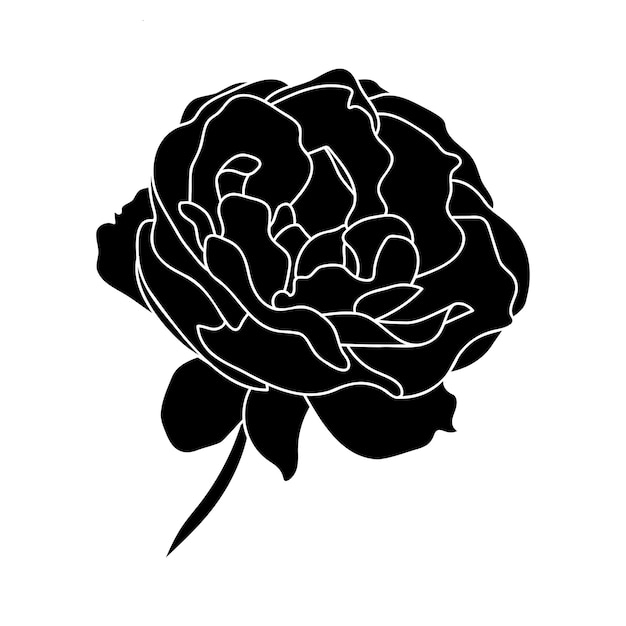 Rose hand drawn illustration in vecor Sketches line art