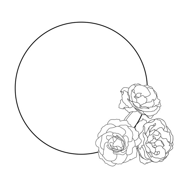 Rose hand drawn illustration in vecor Sketches line art