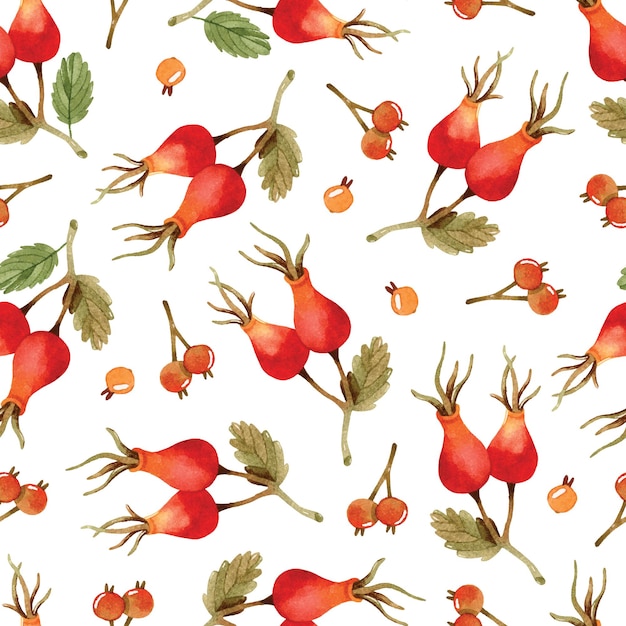 Rose hips and berries watercolor seamless pattern