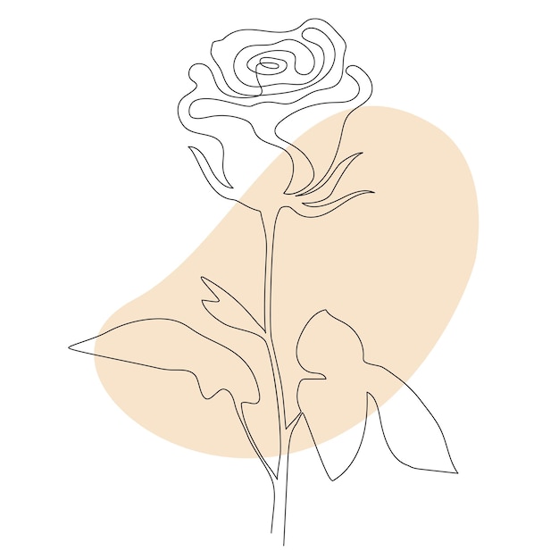 Rose Line art Beautiful flower Vector Continuous line drawing Abstract minimal flower design