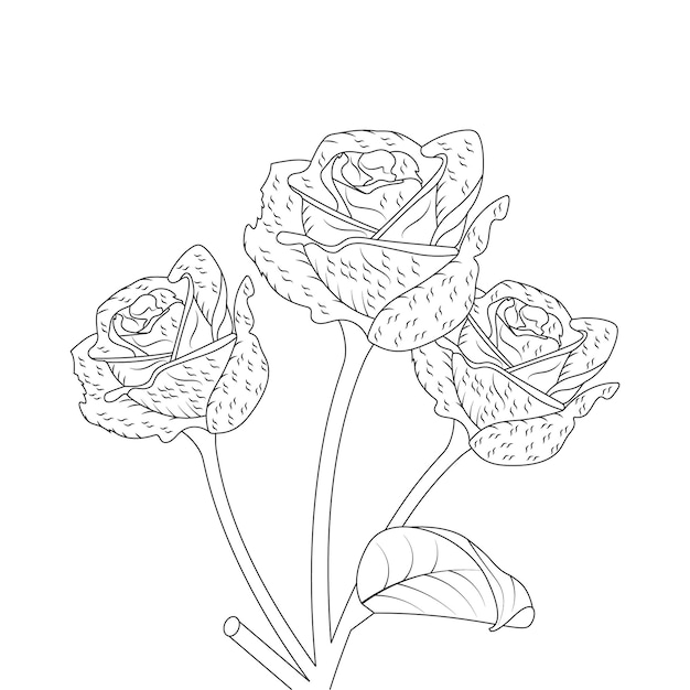 Rose Line Art Flower Coloring Page With Element Botanical Vector Illustration