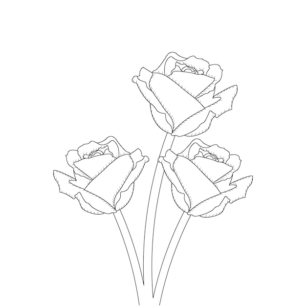 Rose Line Drawing Coloring Page And Book With Decorative Vector Illustration