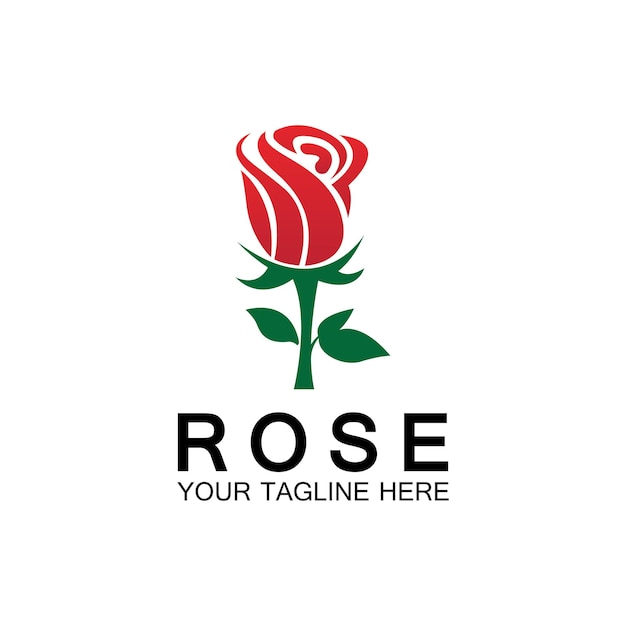 Rose logo flower vector icon illustration design