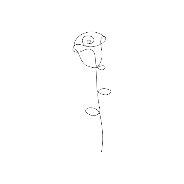 Vector rose one continuous line drawing floral flower natural design graphic sketch drawing rose