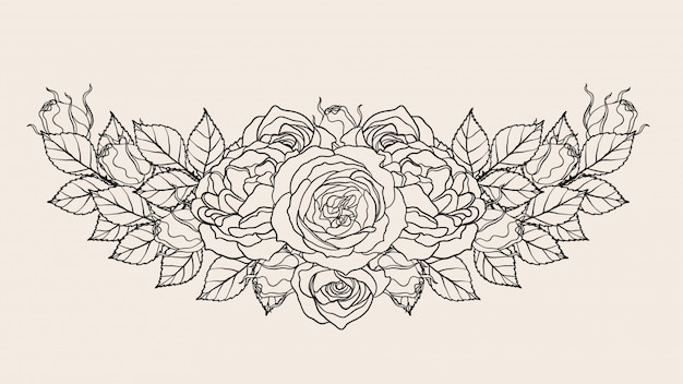 Rose ornament vector by hand drawing