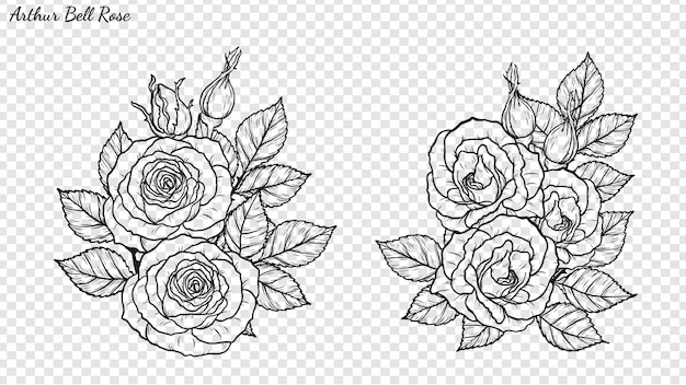 Rose ornament vector by hand drawing