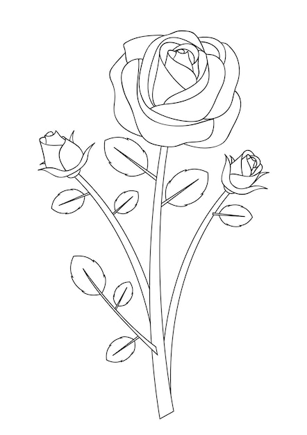 rose outline vector