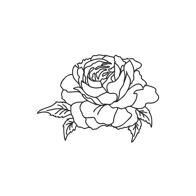 Rose sketch Black outline on white background Vector illustration rose