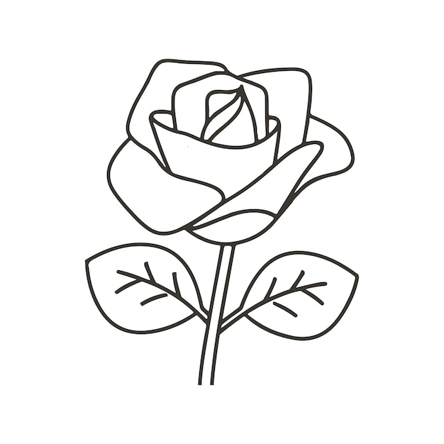 rose thin line art