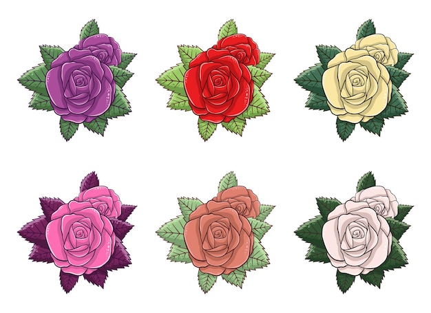 Rose vector design illustration isolated on white background